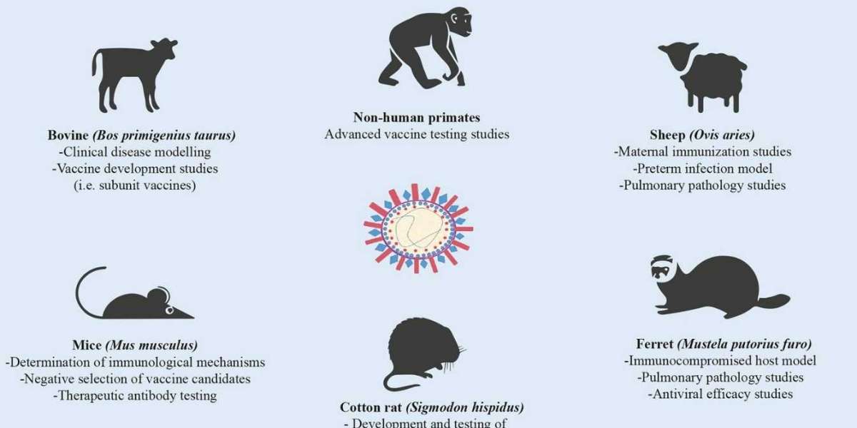 Creative Diagnostics Announces Respiratory Syncytial Virus Animal Models to Advance RSV Research