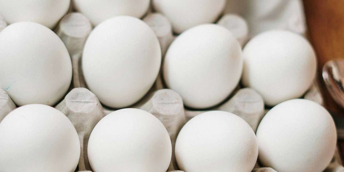 Are Pasture-Raised Eggs Better? A Comprehensive Analysis