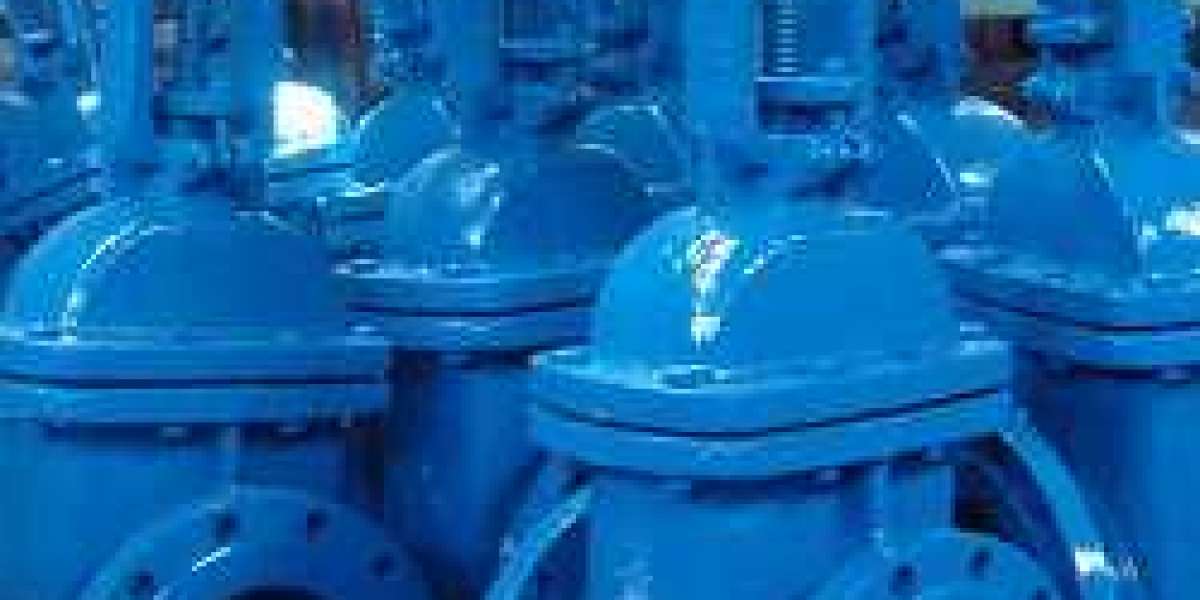 Gate Valve suppliers in UAE