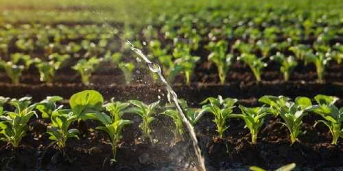 Expanding Horizons in Saudi Arabia Micro Irrigation Systems Market by 2031