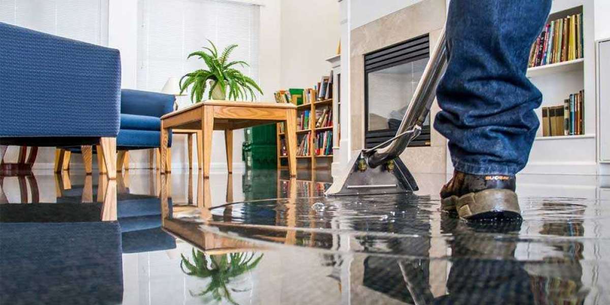 The Role of Insurance in Water Damage Restoration in Cape Coral