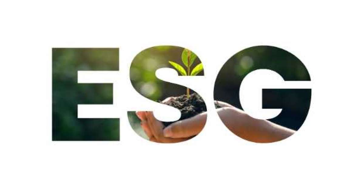 7 Factors Substantially Impacting ESG Sustainability Reporting