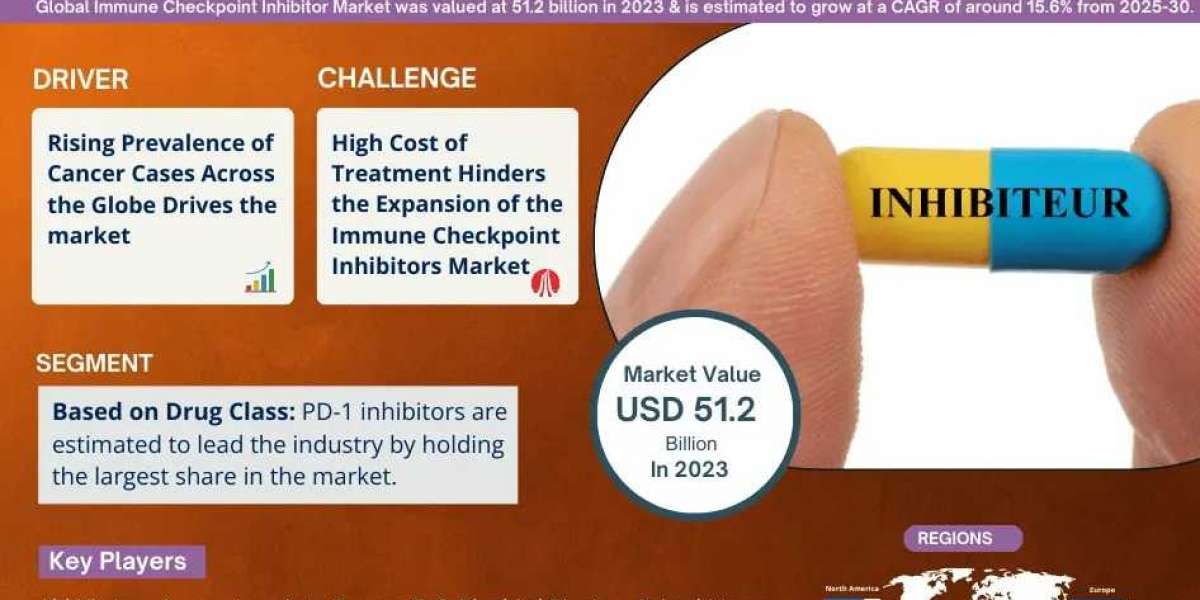 Immune Checkpoint Inhibitors Industry Insights: Size, Share, Growth, and Demand Analysis for the Next Decade