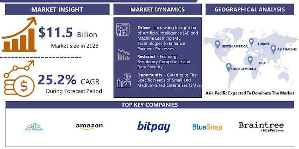 Payment as a Service (PaaS) Market: Is Projected To Surge Ahead At A CAGR Of 25.2% From 2024 To 2032