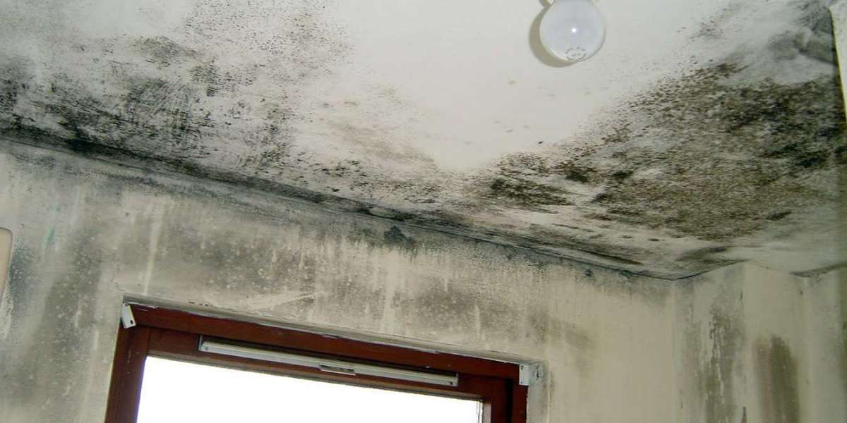 Proven Solutions for Condensation Issues Andover: Protect Your Home