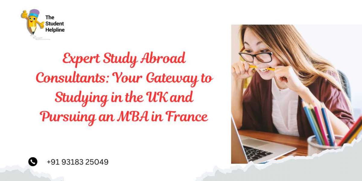 Expert Study Abroad Consultants: Your Gateway to Studying in the UK and Pursuing an MBA in France