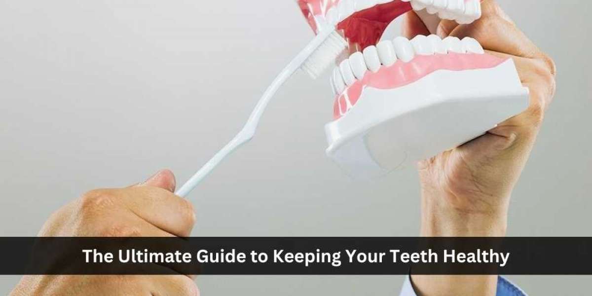 The Ultimate Guide to Keeping Your Teeth Healthy