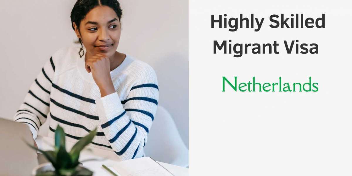 Top Benefits of the Highly Skilled Migrant Visa in the Netherlands