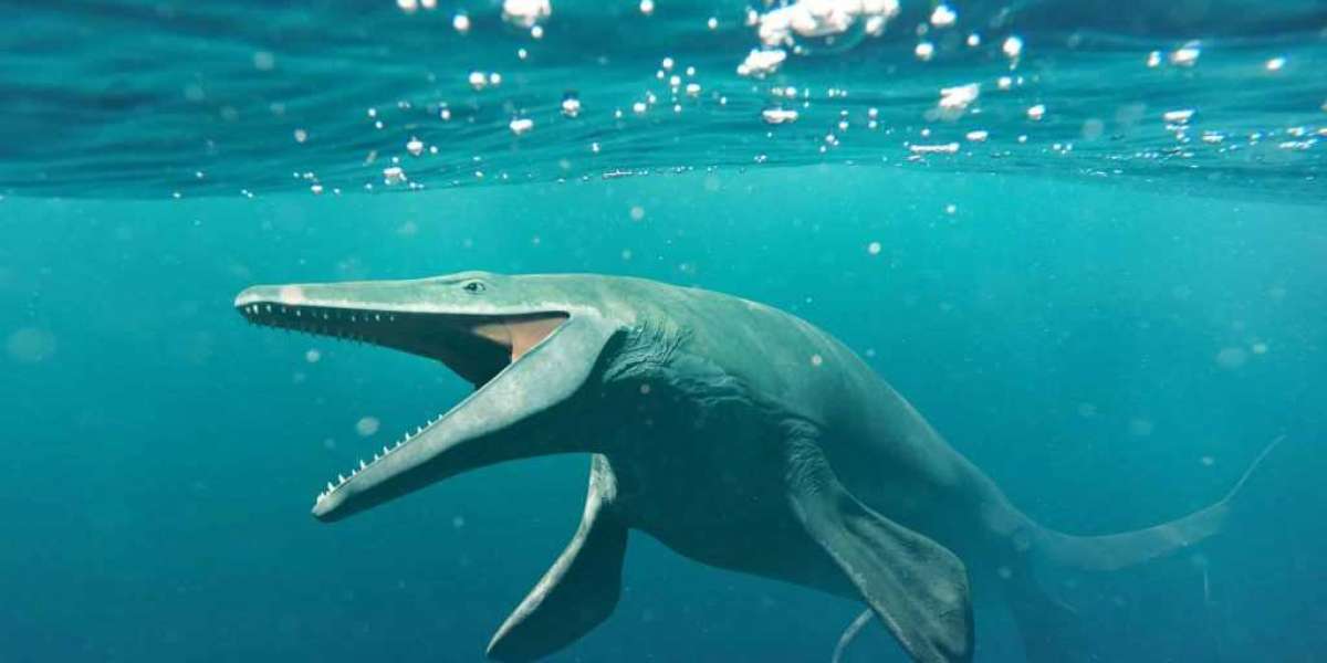 The Biggest Sea Creatures: Giants of the Ocean