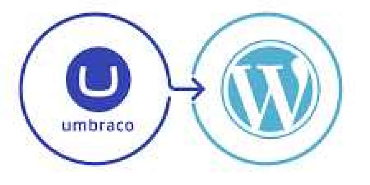 Step-by-Step Process for Migrating from Umbraco to WordPress