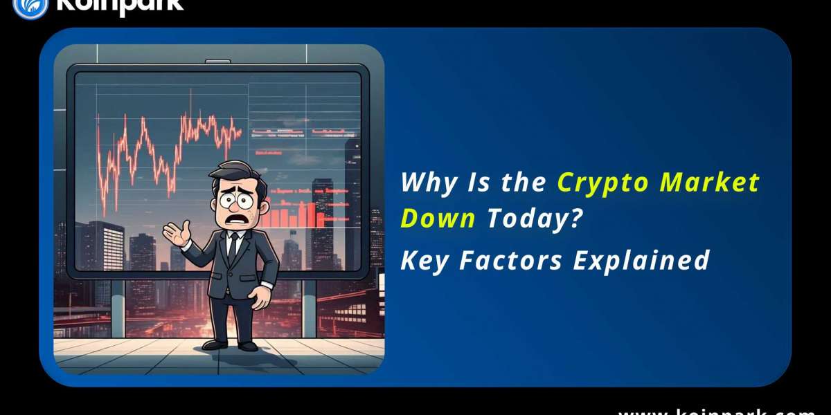 Why Is the Crypto Market Down Today? Key Factors Explained