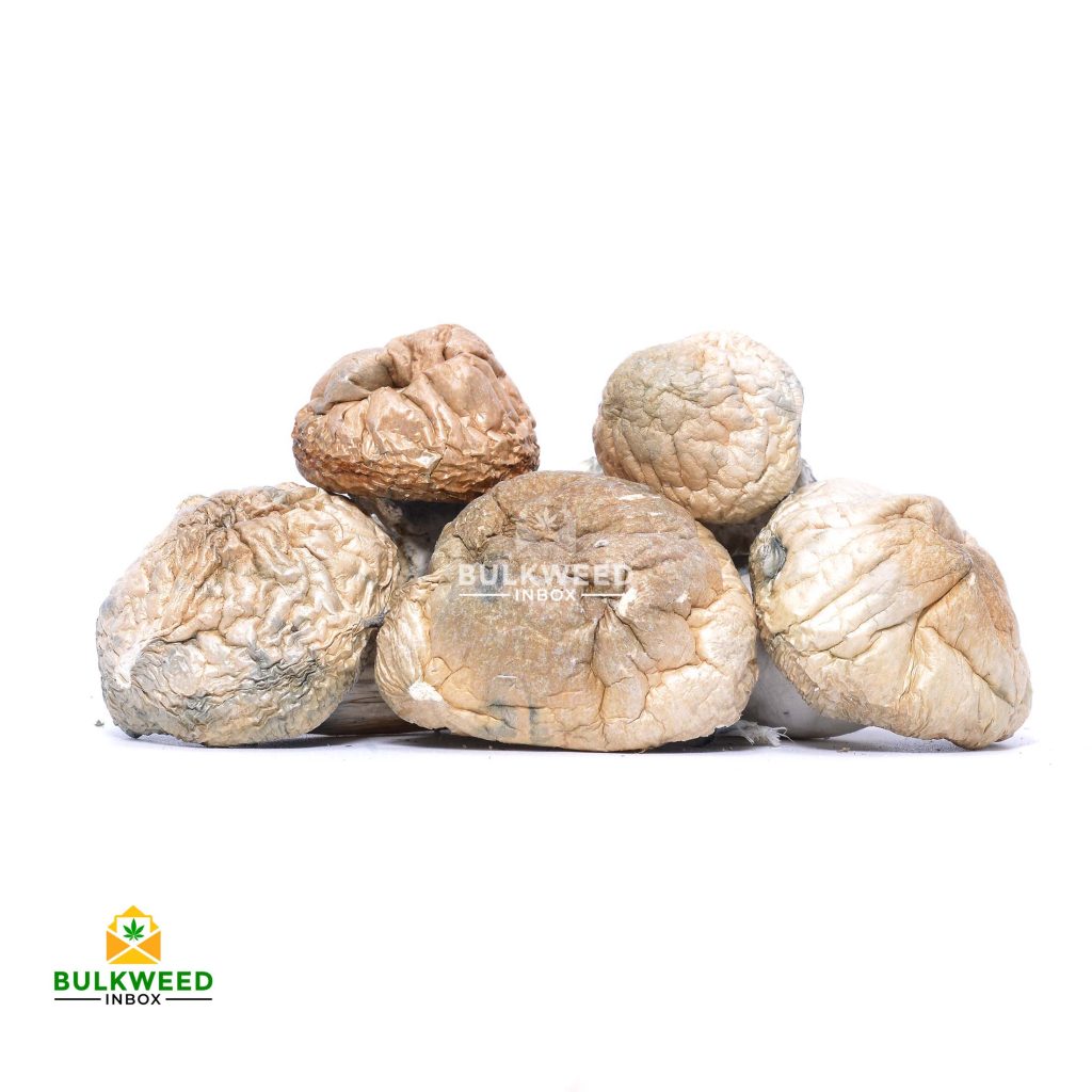 Buy Bulk Mushrooms | Online Dispensary Canada | Bulkweedinbox