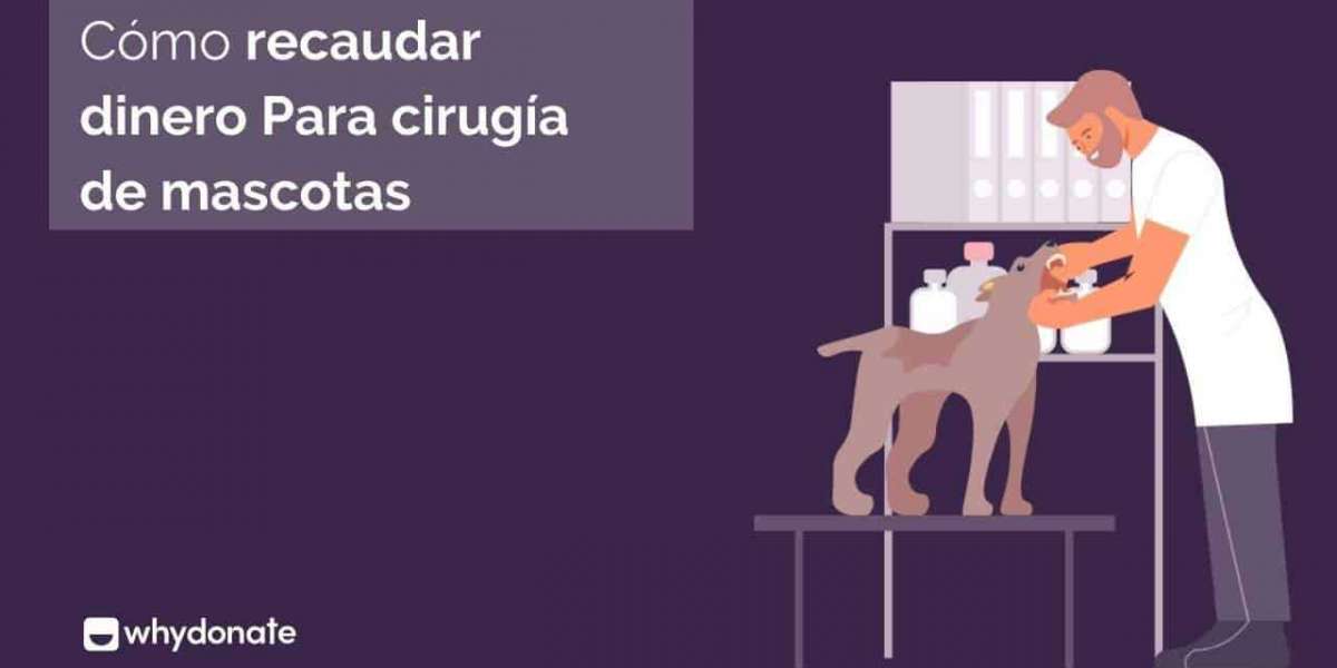 Crowdfunding para animales: Recauda dinero para cirugía de mascotas.