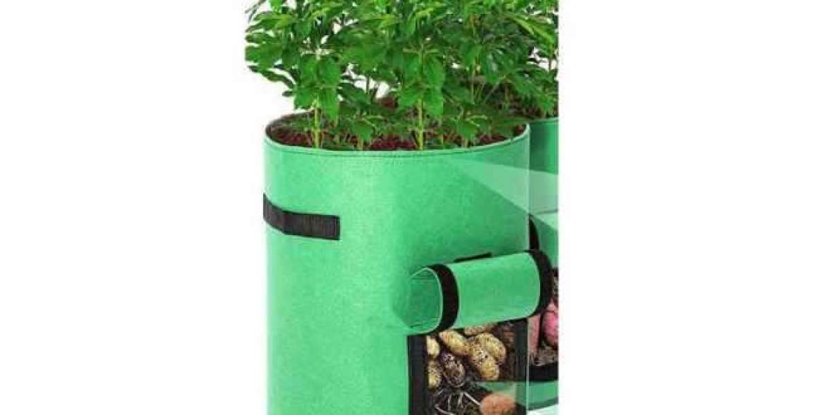 The Ultimate Guide to Plant Growing Bags: Benefits, Applications