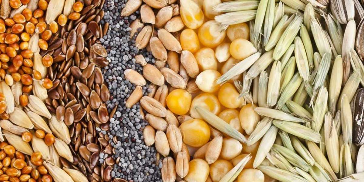 Feed Anticoccidials Market Growth Opportunities, Analysis and Forecast by 2031