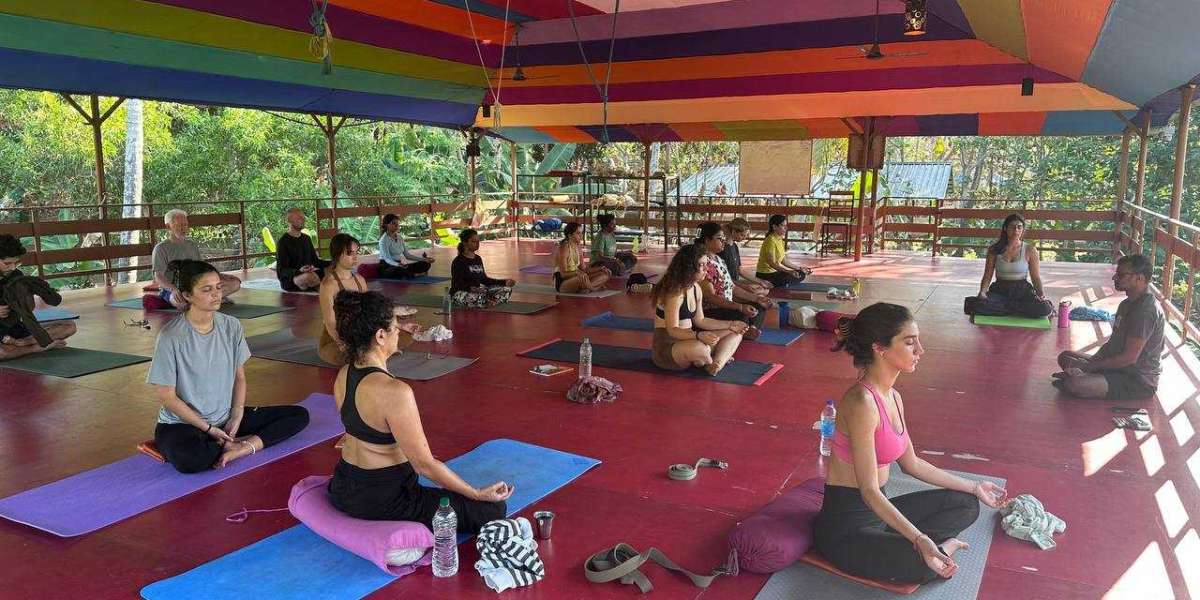 200 Hr Yoga Teacher Training Course in Kerala: Your Path to Becoming a Certified Yoga Instructor