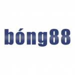 bong88coachvn2 Profile Picture