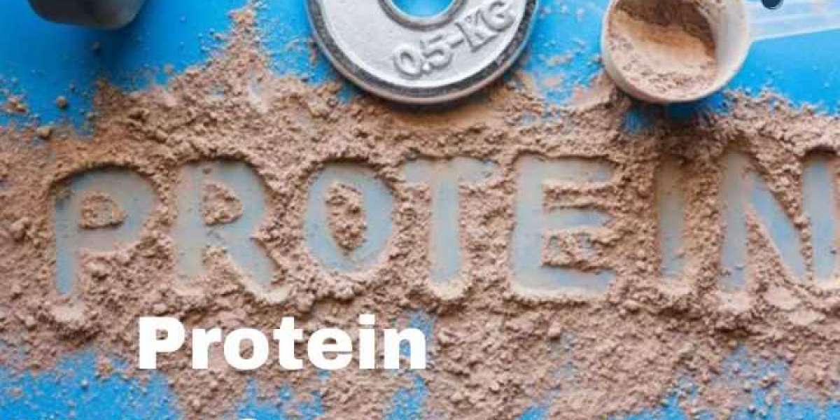 The Rise of Protein Manufacturers: Meeting the Growing Demand for High-Quality Nutrition