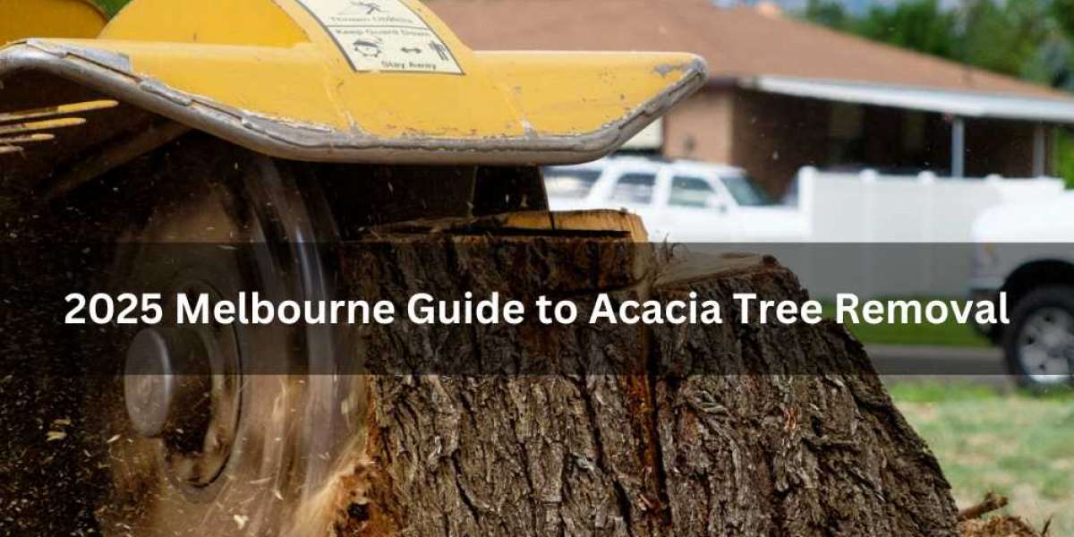 2025 Melbourne Guide to Acacia Tree Removal