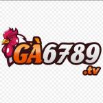 ga6789tv1 Profile Picture