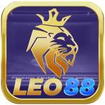 leo882025 Profile Picture