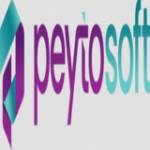 peytosoft Profile Picture