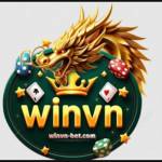 winvnbetcom Profile Picture