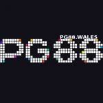 PG88wales Profile Picture