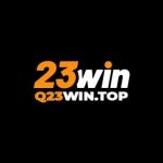 q23wintop Profile Picture