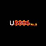 u8886wales Profile Picture