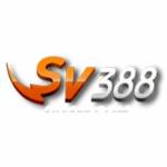 sv388ecom11 Profile Picture