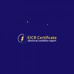 londoneicrcertificates Profile Picture