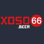 xoso66beer1 Profile Picture