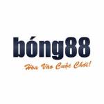 bong88consulting Profile Picture