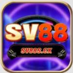 sv88scxvn Profile Picture