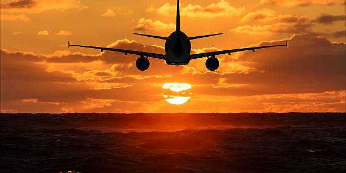 Avianca Airlines at Orlando International Airport: A Guide to the Terminal
