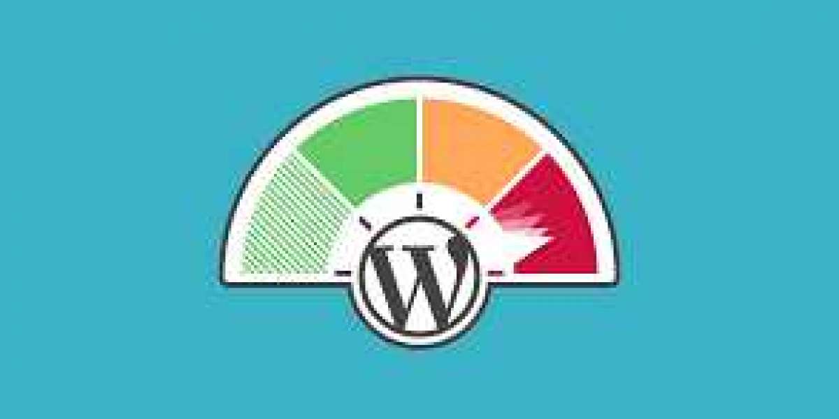 A Comprehensive Guide to WordPress Performance Optimization