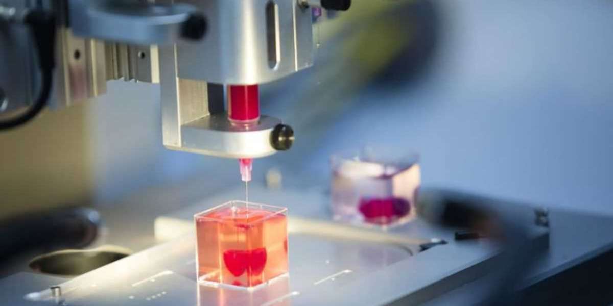 3D Bioprinting Market Set for Consistent 13.2% CAGR, Projected to Hit $8.33 Billion by 2035