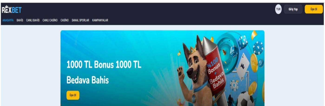rexbetgiriscom Cover Image
