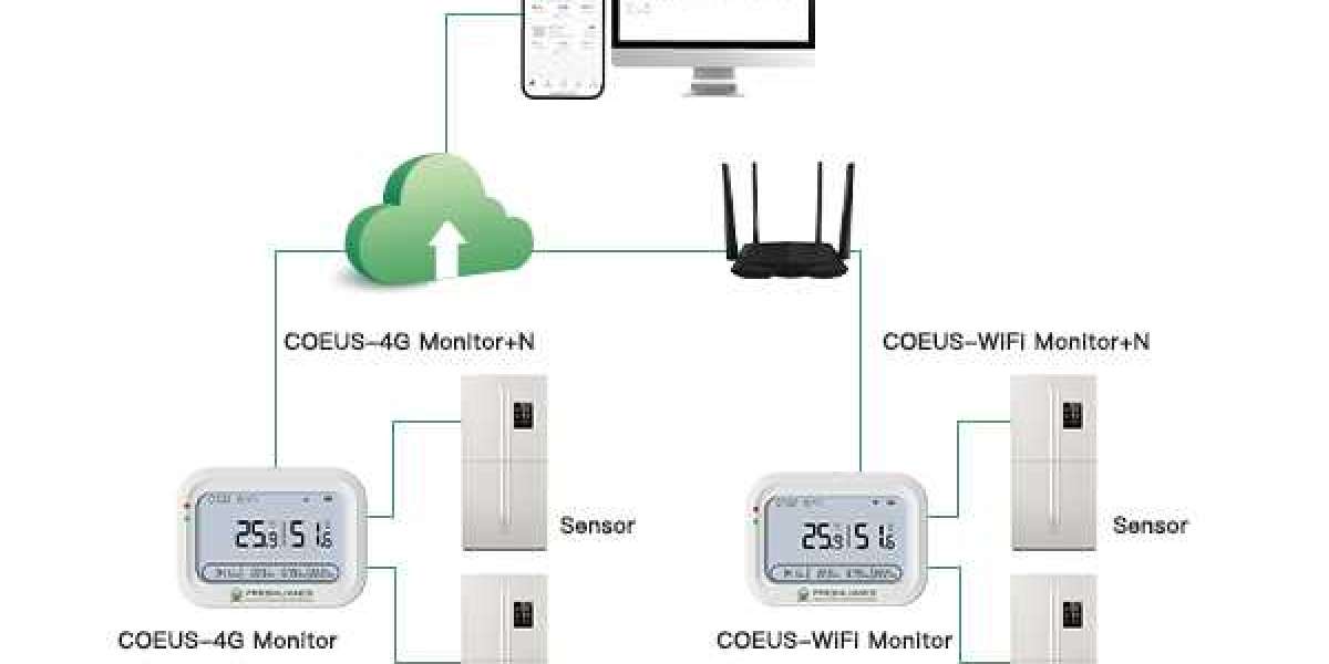 Real-time temperature data loggers for the food industry