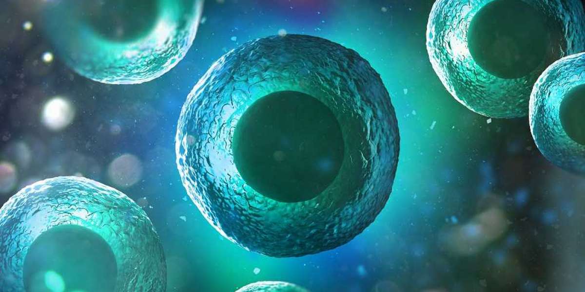 How Protein-DNA Docking Shapes Biological Pathways