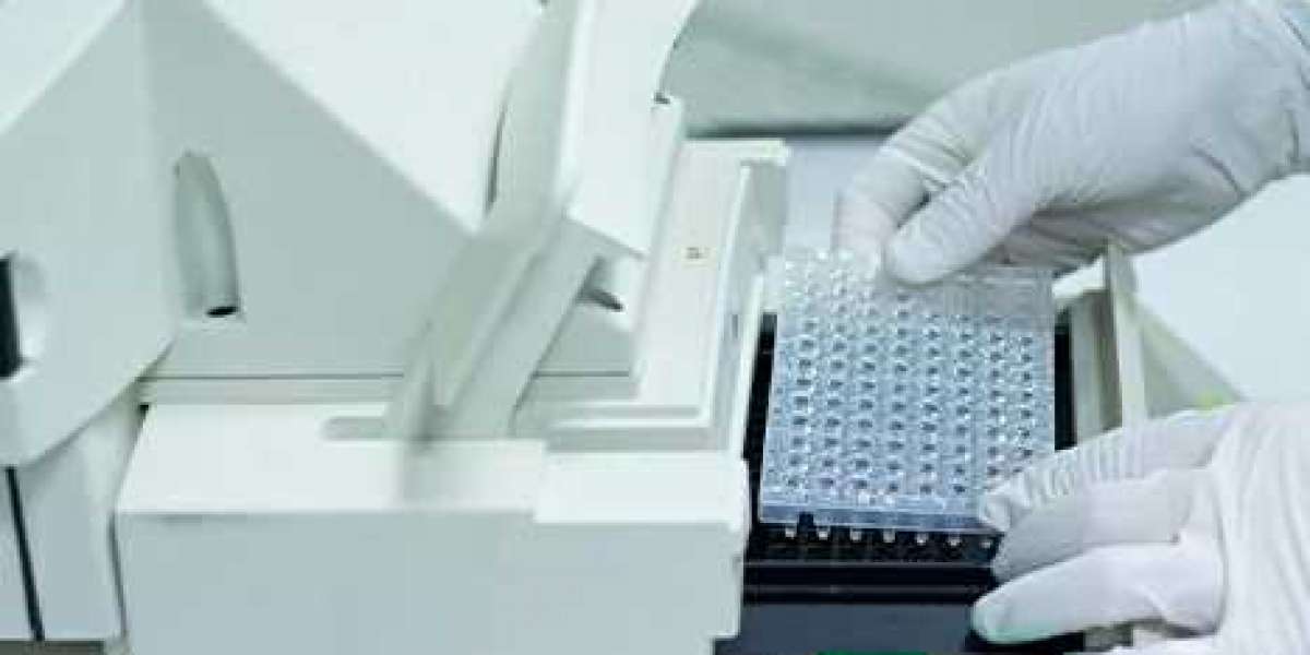 Creative Diagnostics Announces Bacterial DNA Residue Assay Kits (qPCR) for Biological Research