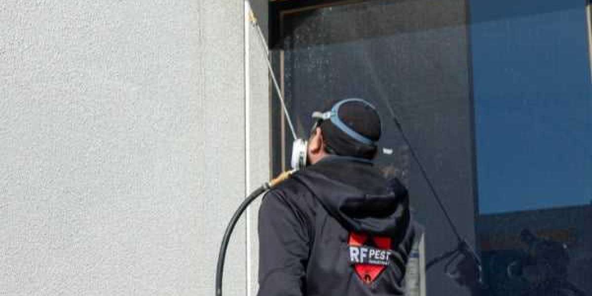 Termite Control Melbourne – Protecting Your Property from Costly Damage