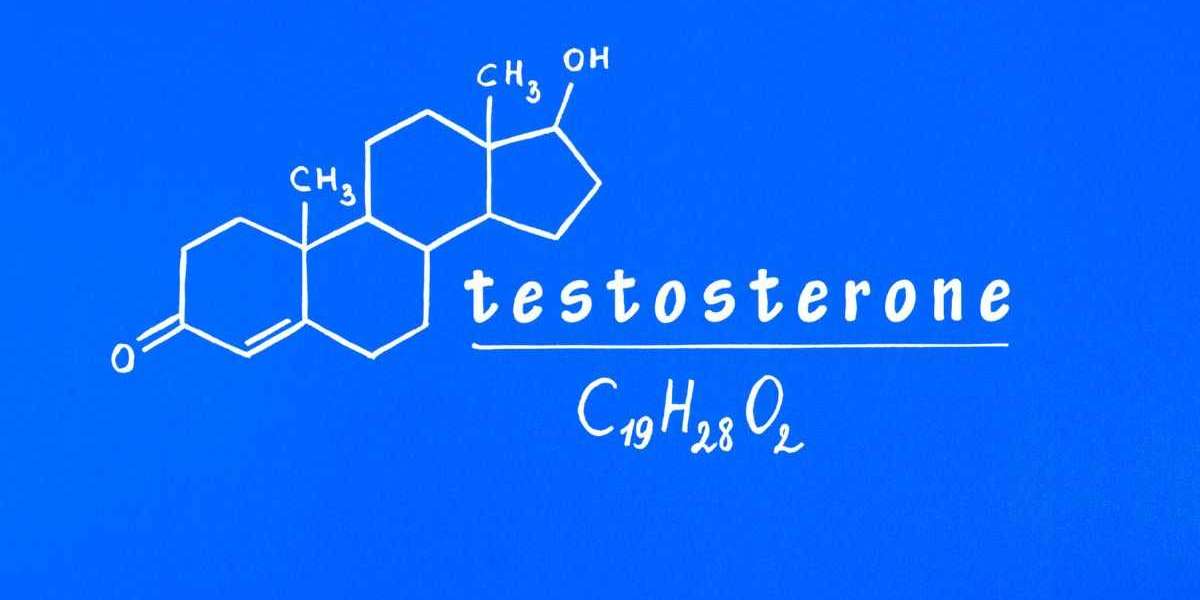Testosterone’s Role in Fat Loss (for Men & Women)