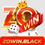 zowinblack Profile Picture