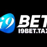 i9bettax Profile Picture