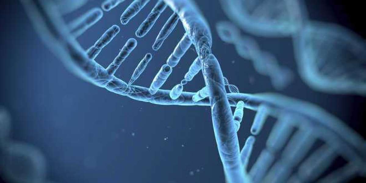 Exploring Full Body Applications of Stem Cell Treatment