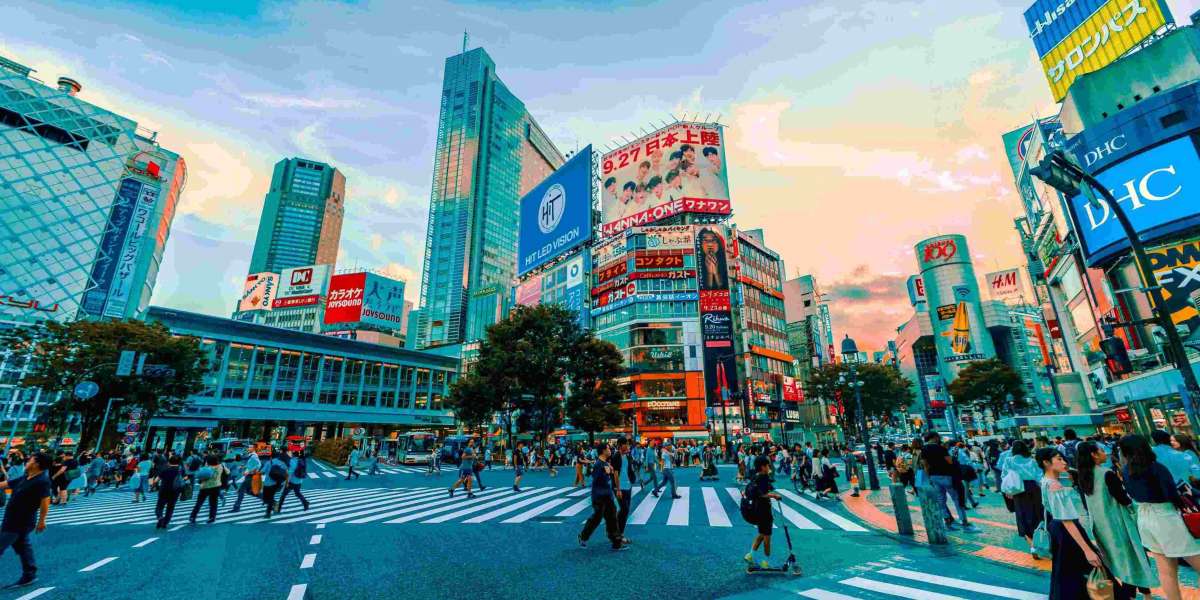 Tranquil Beauty: Kamakura and Nikko Tours in Japan