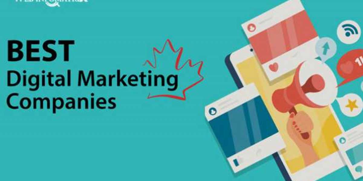 Custom Digital Marketing Plans for Language Classes in Bradford