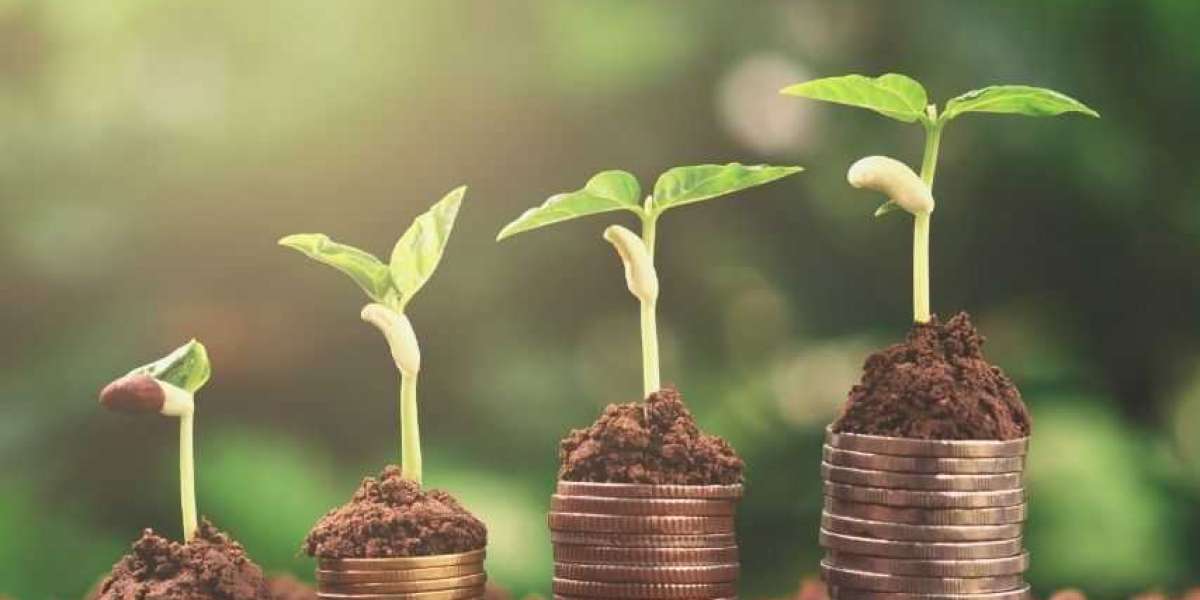 How ESG Consulting Helps Malaysian Firms Access Green Financing Opportunities